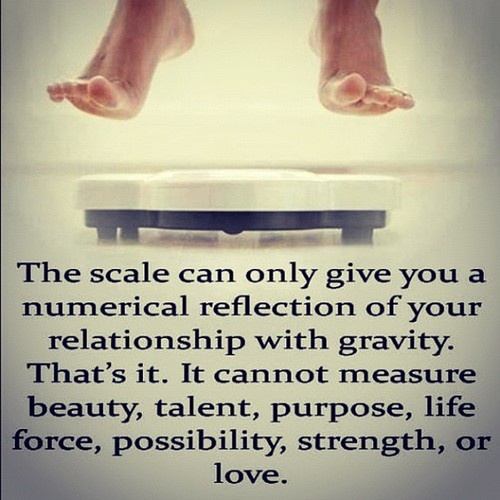 the-scale-is-only-a-number
